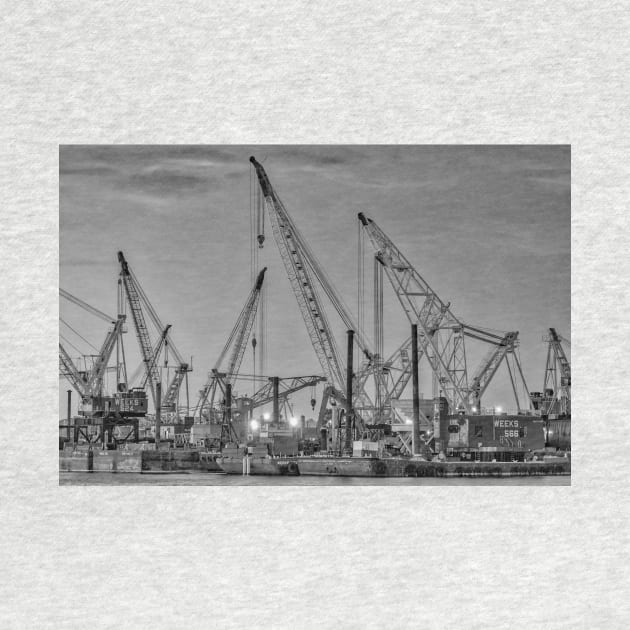 Cranes B+W by jforno